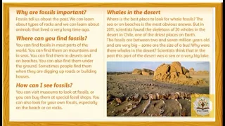 Extensive reading: What are fossils? Family and Friends 4 (p. 30)