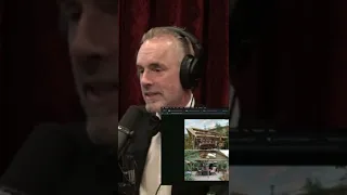 Joe Rogan Jordan Peterson On Guy Ritchie