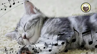 Cat Purring & Soft Music - Music to Help Cats Relax, Sleep, and Relieve Stress