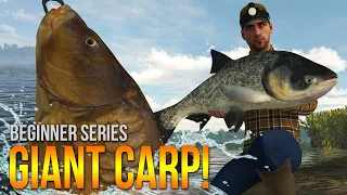 [Lvl.47] We're after UNIQUE CARP at Sander Baggersee Lake! | Fishing Planet