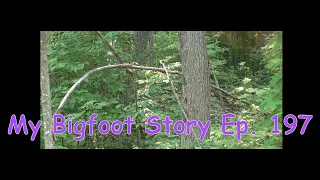 My Bigfoot Story Ep. 197 - Thousands of Empty Acres Part 2