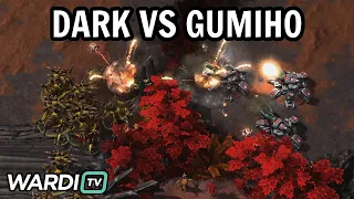 Dark vs GuMiho (ZvT) - FINALS ESL Open Cup Korea 220 [StarCraft 2]