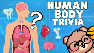 How Much Do You Know About the Human Body | Human Body Quiz | Human Body Trivia