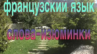 ФРАНЦУЗСКИЕ СЛОВА-ИЗЮМИНКИ | часть 1 | французский по полочкам