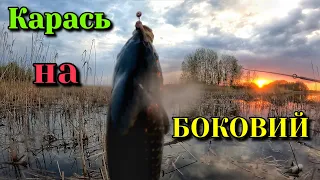 СЕКРЕТИ лову КАРАСЯ на Боковий Кивок. Частина 1