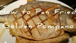 How to Pan Fried golden pompano 煎鲳鱼