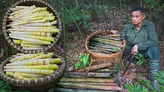 Build a bath, Go to the forest to find rare bamboo shoots and bring them to the market to sell Ep 52