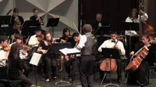 PACO Sinfonia: Haydn Symphony No102 in Bb (part 1 of 4)