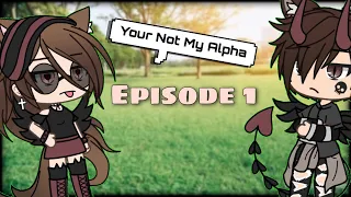 You're Not My Alpha ~{Episode 1}~ Read Desc! 1M VIEWS!