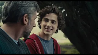 Nic Sheff (Timothee Chalamet) "beautiful boy"  II  trauma