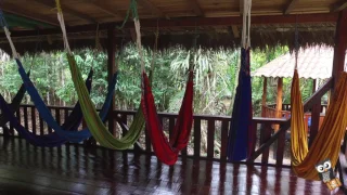 Cuyabeno Wildlife Reserve Tour and Lodge Ecuador Travel2South