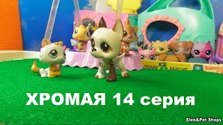 LPS ХРОМАЯ 14 серия