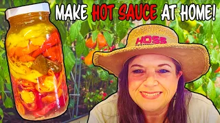 How to Ferment Peppers The RIGHT Way! - #HotSauce