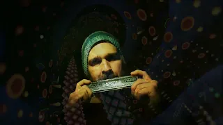 Harmonica Ayahuasca - Yagé - Big Hohner Echo Harp