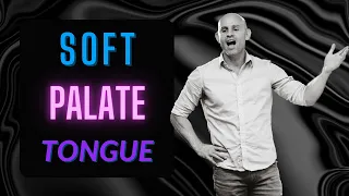 Voice Masters Q&A "Soft Palate & Tongue" with Philippe Hall & Matt Edwards