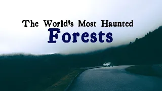 The World's Most Haunted Forests