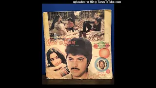 Paniyil Nanaiyum || Priya Oh Priya || Ilaiyaraaja || Pallavi Anupallavi Tamil version || Anil Kapoor