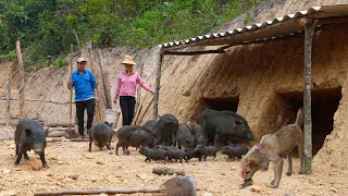 The Process of Digging the Pig Pen to Avoid the Heat and the Mother Dog Returning Home | Family Farm