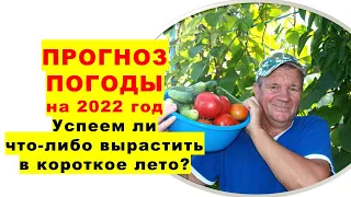 Прогноз погоды на 2022 год. Успеем ли что-либо вырастить в короткое лето?