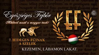 Egészséges Fejbőr - Hidegen fújnak a szelek (Hivatalos szöveges video / Official lyric video)