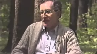 Chomsky explains Cold War in 5 min