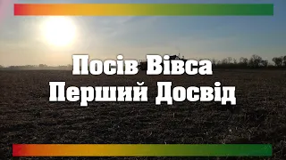 Посів Вівса В No-Till | Перший досвід