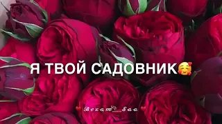Малика Уцаева - Дишни ЙО1 😍😍😍😍