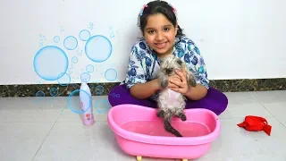 شفا أول مرة تغسل القطة ! ! First bath for kitten