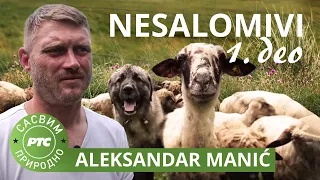 Sasvim prirodno: Nesalomivi 1. deo - Aleksandar Manić (Jovan Memedović)