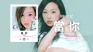 王心凌〈當你〉1 Hour Loop Music ♾️一小時循環播放♾️