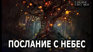 ПОСЛАНИЕ С НЕБЕС 💯🔥 гадание расклад  таро