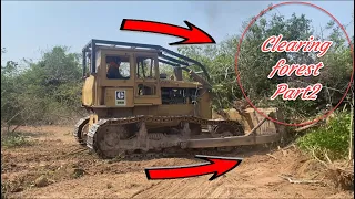 Wow Amazing ! Project  Big Dozer Clearing Land & Clearing Forest