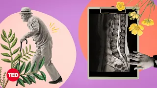 5 Things You Should Know About Back Pain | Body Stuff with Dr. Jen Gunter | TED