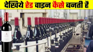 देखिये रेड वाइन कैसे बनती है | How Red Wine is made.