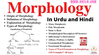 Morphology, Word Formation In Morphology, Morphological Analysis Sentence, Types Of Morpheme, PDF