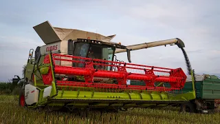 5t/ha?! Żniwa Rzepaku 2023 w GR Żukowscy z firma UR Bujalscy | Claas Trion 650 & New Holland T7.190