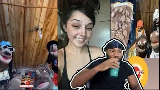 CURTIS?!!?! BOSSNI REACTS TO COTTON MOUF FUNNY TIKTOK COMPILATION