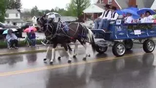 Horse & Carriage Parade - 2014 WV Strawberry Festival