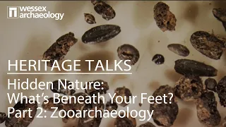 Heritage Talk: Hidden Nature, What’s beneath your feet? Part 2- Zooarchaeology