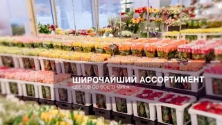 Цветочный ряд Ульяновск