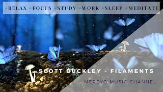 Scott Buckley | Filaments ( Mereyo extended remix)