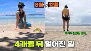 🇵🇭 필리핀 보홀 여름바다 vs 겨울바다 프리다이빙 즐기기 가장 좋은 돌호비치? | 모달라 리조트 | Bohol Doljo Beach freediving Modala Resort