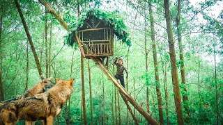 Build Bushcraft Camp & Survival Shelter, Attacked by Wild Wolf, Bushcraft Safe Survival in the Tree
