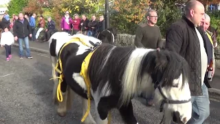 Horse Fair 2017 Mohill, Co Leitrim,  (Video)