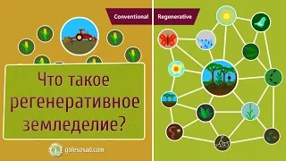 Что такое регенеративное земледелие?