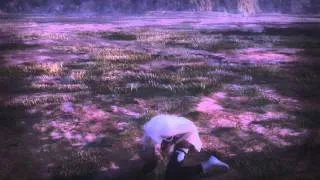 Noel x Serah - Born to die GMV