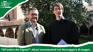 "All'ombra dei Giganti". Alberi monumentali nel Messaggero di maggio