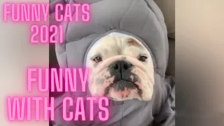 FUNNY CATS 2021 AND OTHER ANIMALS⧸ 11 MINUTES OF LAUGHTER⧸FUNNY ANIMALS 2021⧸BEST FUN WITH CATS