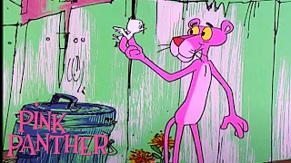 Pink Birdie Flown By Pink Panther | 35-Minute Compilation | The Pink Panther Show