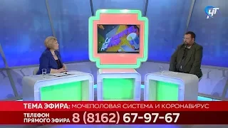 Скажите, доктор. Мочеполовая система и коронавирус